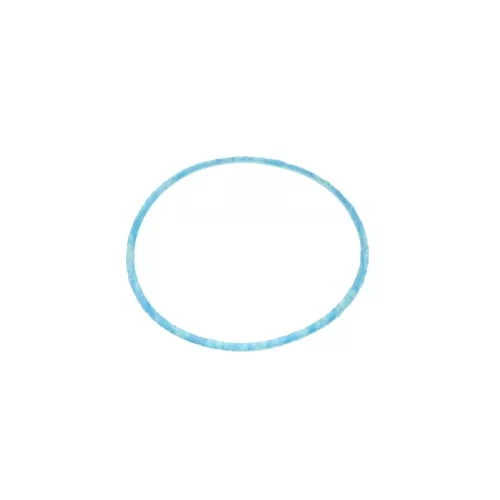 Mueller Industries P-35721 Check Valve Gasket