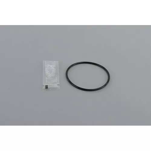 Powers Commercial 390-806 O-Ring Replacement Seal