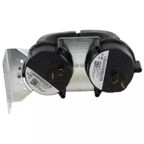 Rheem-Ruud 42-102056-29 Dual Pressure Switch