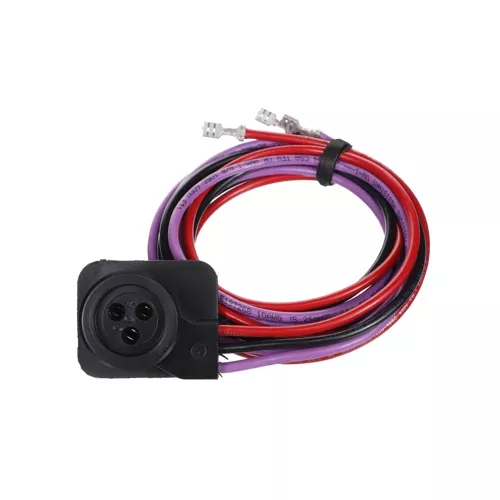 Rheem-Ruud 45-100834-80-1PK Cland Molded Plug Wiring