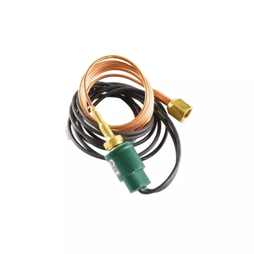 Rheem-Ruud 47-100571-02 Low Ambient Control with Auto Reset